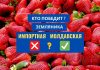Первая молдавская земляника продается вдвое дороже импортной ягоды земляника импортная Молдавская