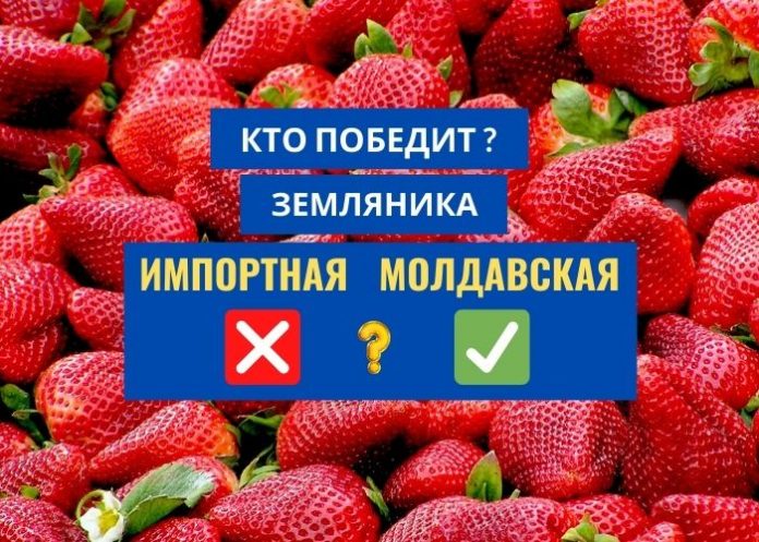 земляника импортная Молдавская