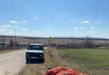 Молдавский фермер бесплатно раздает лук бесплатный лук. Фото с сайта east-fruit