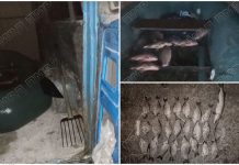 Незаконная рыбалка в селе Бутучаны браконьерство на днестре. Фото МВД ПМР
