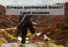 Как получить охотничий билет в ПМР: экзамен и условия сдачи охотничий билет
