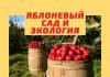 Гектар яблоневого сада производит около 30 тонн кислорода в год Яблоневый сад и экология
