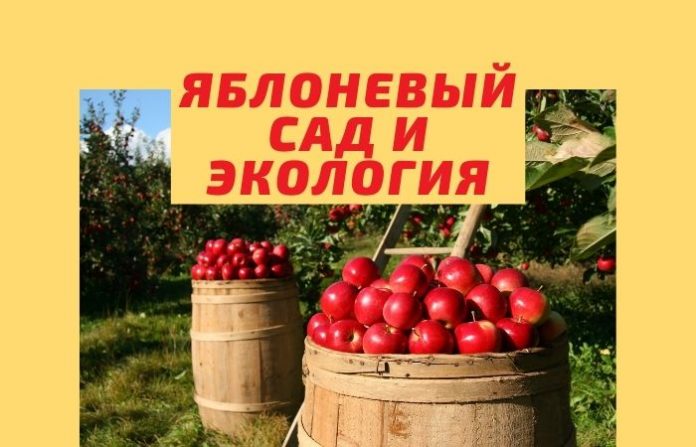 Яблоневый сад и экология