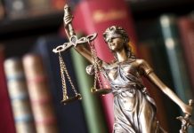 Крупное хищение в одном из магазинов сети «Гарант» Крупное хищение