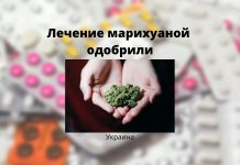 Кабмин Украины разрешил лечение марихуаной Лечение марихуаной
