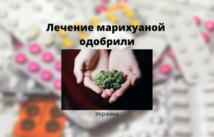 Лечение марихуаной одобрили Лечение марихуаной