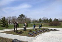 На мемориальном комплексе в Рыбнице обновляют зелёные насаждения Новые зеленые насаждения