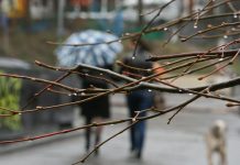 Погода 7 апреля в Приднестровье Ожидается похолодание