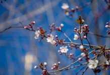 Погода 29 марта 2023 года в Приднестровье Погода в Приднестровье