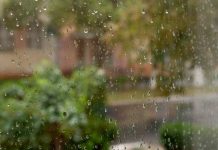 Погода 16 октября 2023 года в Приднестровье Погода в Приднестровье дожди