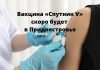 «Спутник V» поступит в Приднестровье в апреле. Сообщил Президент ПМР Вакцина «Спутник V» скоро будет в Приднестровье