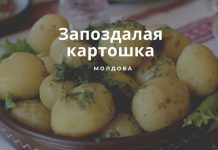 Молдавская молодая картошка будет только в середине мая Запоздалая картошка