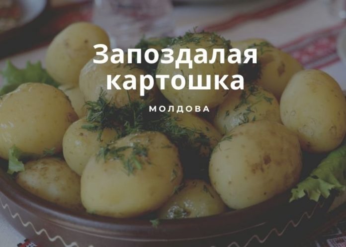 Запоздалая картошка Запоздалая картошка