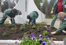 Как Рыбница озеленяется