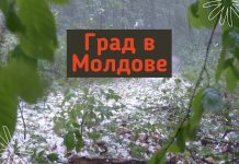 Первые в 2021 году случаи повреждения садов градом отмечены в Молдове град