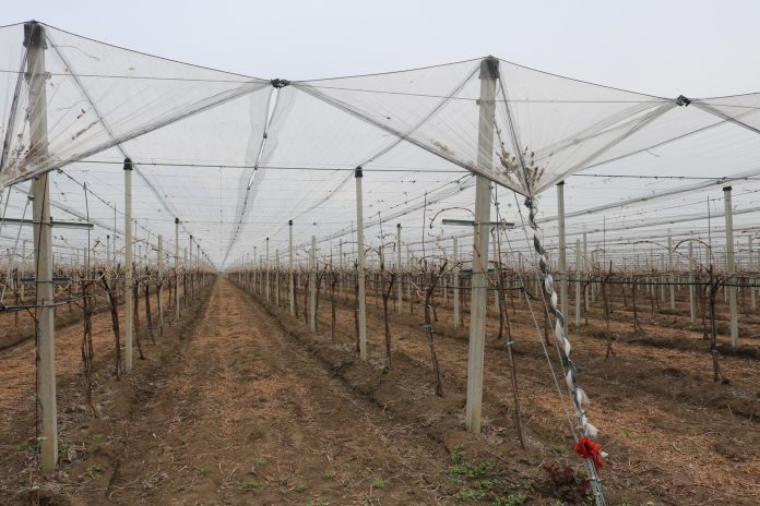 система Pergola