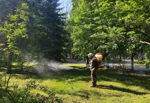 В Рыбнице проводится дезинсекция от клещей В Рыбнице проводится дезинсекция от клещей