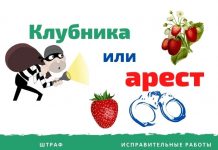 Любителям чужой клубники грозит штраф или тюрьма Клубничный вор