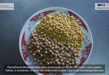 Интегрированное производство сои в Молдове в рамках поддержки ЕС