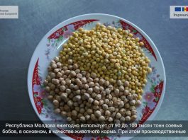 Интегрированное производство сои в Молдове в рамках поддержки ЕС