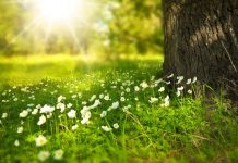 Погода 25 июня 2023 года в Приднестровье Погода обещает быть теплой