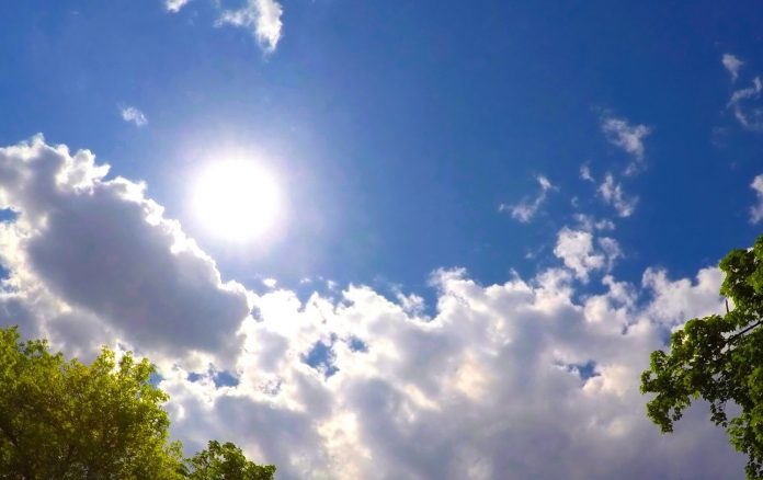 погода в Приднестровье