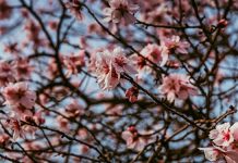 Погода 16 мая 2023 года в Приднестровье Погода в Приднестровье