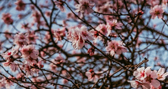 Погода в Приднестровье