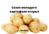 Цены на молодой картофель в Молдове высокие Сезон молодого картофеля открыт