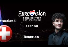 Швейцария выиграла «Евровидение-2021» по итогам профессионального жюри Switzerland, Швейцария евровидение 2021