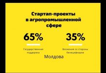 В Молдове раздают субсидии для стартап-проектов в агропромышленной сфере стартап