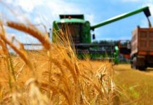 Рыбницкие аграрии продолжают инвестировать в инфраструктуру населенных пунктов района Инвестиции аграриев в села