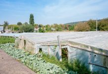 Asfalt de Moldova. Жабка-Подоймица Asfalt de Moldova. Путешествие в Подоймицу