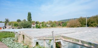 Asfalt de Moldova. Жабка-Подоймица Asfalt de Moldova. Путешествие в Подоймицу