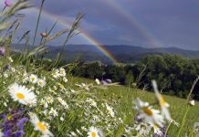 Погода 23 июня 2023 года в Приднестровье Жарко и дожди