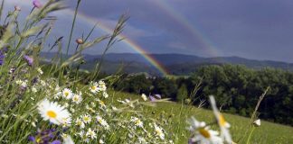 Погода 28 июня в Приднестровье Жарко и дожди