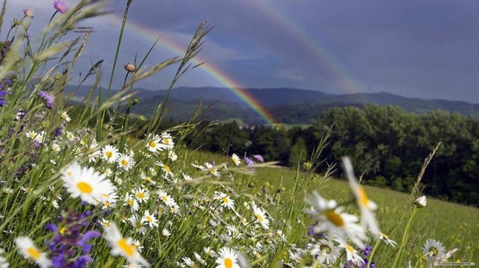 Жарко и дожди