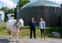 Криптовалюту начали добывать из коровьего навоза CRYPTOHUNTER. Фото с сайта 3dnews