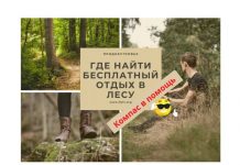 18 бесплатных доступных мест для отдыха в лесах Приднестровья Ищем места отдыха. Компас в помощь