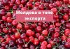 Молдова в топе стран по экспорту черешни Молдова в топе экспорта