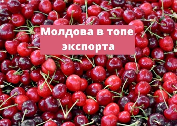 Молдова в топе экспорта