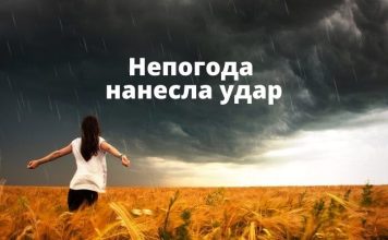 Проливные дожди в Молдове повредили более 100 гектаров садов и 70 гектаров посевов Непогода нанесла удар