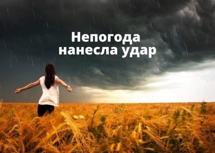 Непогода нанесла удар