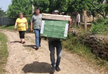 Житель села Лунга украл в селе Попенки улей: вместо мёда уголовное дело Украл улей с мёдом
