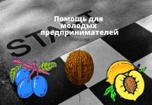 В Молдове государство поддержит начинающих предпринимателей в сельском хозяйстве Помощь для молодых предпринимателей