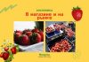 Цены на землянику в магазинах и на рынках сильно отличаются Земляника