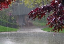 Погода на 6 июля в Приднестровье Дожди