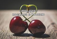 Начались поставки поздней черешни «Кордия» в Россию «Кордия» поехала в Россию