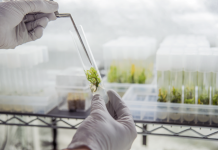 На ремонт и оснащение трех лабораторий вуза в рамках проекта «Livada Moldovei» потратят 2 млн евро лаборатория