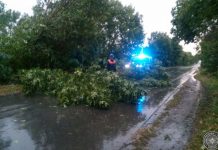 Последствия непогоды в Рыбницком районе Последствия непогоды. Рыбницкий район